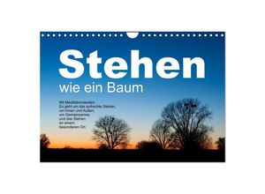 9783383855825 - Stehen wie ein Baum (Wandkalender 2025 DIN A4 quer) CALVENDO Monatskalender