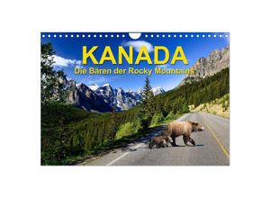 9783383855955 - KANADA - Die Bären der Rocky Mountains (Wandkalender 2025 DIN A4 quer) CALVENDO Monatskalender