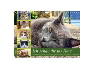 9783383857614 - Ich schau dir ins Herz (Wandkalender 2025 DIN A4 quer) CALVENDO Monatskalender