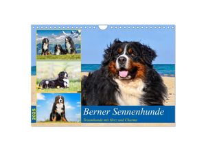 9783383859014 - Berner Sennenhunde - Traumhunde mit Charme (Wandkalender 2025 DIN A4 quer) CALVENDO Monatskalender