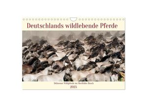 9783383860492 - Deutschlands wildlebende Pferde (Wandkalender 2025 DIN A4 quer) CALVENDO Monatskalender