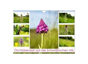 9783383861925 - Orchideenzeit auf der Schwäbischen Alb (Wandkalender 2025 DIN A4 quer) CALVENDO Monatskalender