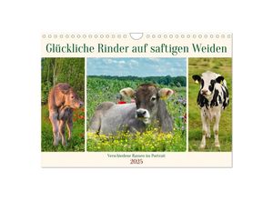 9783383862779 - Glückliche Rinder auf saftigen Weiden (Wandkalender 2025 DIN A4 quer) CALVENDO Monatskalender