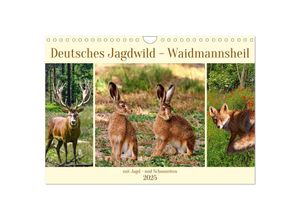 9783383863400 - Deutsches Jagdwild - Waidmannsheil (Wandkalender 2025 DIN A4 quer) CALVENDO Monatskalender