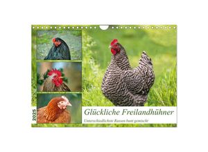 9783383863615 - Glückliche Freilandhühner (Wandkalender 2025 DIN A4 quer) CALVENDO Monatskalender