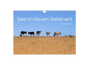 9783383867279 - Tiere im Neuen Testament mit Bibelversen (Wandkalender 2025 DIN A4 quer) CALVENDO Monatskalender