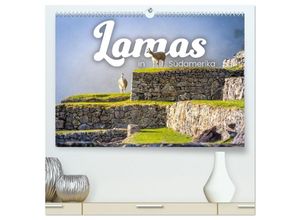 9783383870507 - Lamas in Südamerika (hochwertiger Premium Wandkalender 2025 DIN A2 quer) Kunstdruck in Hochglanz