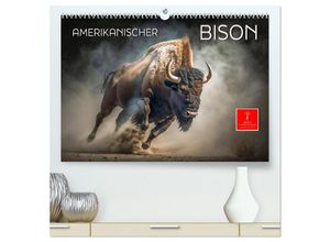 9783383871214 - Amerikanischer Bison (hochwertiger Premium Wandkalender 2025 DIN A2 quer) Kunstdruck in Hochglanz