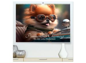 9783383871832 - Pommerscher Charmeur Ein Jahr voller Niedlichkeit (hochwertiger Premium Wandkalender 2025 DIN A2 quer) Kunstdruck in Hochglanz