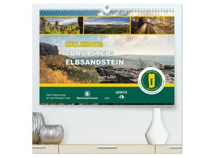 9783383875731 - Erlebnis Forststeig Elbsandstein (hochwertiger Premium Wandkalender 2025 DIN A2 quer) Kunstdruck in Hochglanz