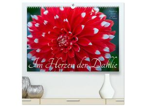 9783383877742 - Im Herzen der Dahlie (hochwertiger Premium Wandkalender 2025 DIN A2 quer) Kunstdruck in Hochglanz