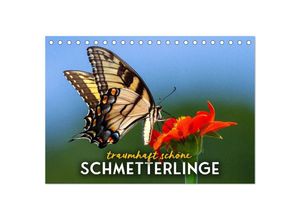 9783383881329 - Traumhaft schöne Schmetterlinge (Tischkalender 2025 DIN A5 quer) CALVENDO Monatskalender