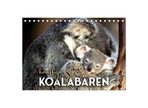 9783383882258 - Knuffige Koalabären (Tischkalender 2025 DIN A5 quer) CALVENDO Monatskalender