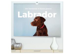 9783383883101 - Labrador - Der Vierbeiner in Szene gesetzt (hochwertiger Premium Wandkalender 2025 DIN A2 quer) Kunstdruck in Hochglanz