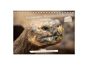 9783383883361 - Die Riesenschildkröten der Galapagos Inseln (Tischkalender 2025 DIN A5 quer) CALVENDO Monatskalender