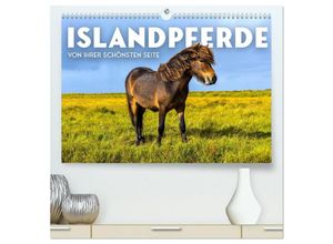 9783383883644 - Islandpferde - Von ihrer schönsten Seite (hochwertiger Premium Wandkalender 2025 DIN A2 quer) Kunstdruck in Hochglanz 9783383883644 - Islandpferde - Von ihrer schönsten Seite (hochwertiger Premium Wandkalender 2025 DIN A2 quer) Kunstdruck in Hochglanz