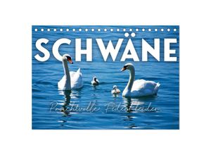 9783383886379 - Schwäne - Prachtvolle Federkleider (Tischkalender 2025 DIN A5 quer) CALVENDO Monatskalender