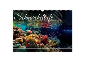 9783383886973 - Schnorcheltiefe (Wandkalender 2025 DIN A3 quer) CALVENDO Monatskalender