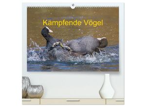 9783383887208 - Kämpfende Vögel (hochwertiger Premium Wandkalender 2025 DIN A2 quer) Kunstdruck in Hochglanz