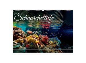 9783383887505 - Schnorcheltiefe (Wandkalender 2025 DIN A2 quer) CALVENDO Monatskalender