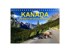 9783383887833 - KANADA - Die Bären der Rocky Mountains (Tischkalender 2025 DIN A5 quer) CALVENDO Monatskalender