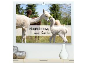 9783383890239 - Alpakababys zum Verlieben (hochwertiger Premium Wandkalender 2025 DIN A2 quer) Kunstdruck in Hochglanz