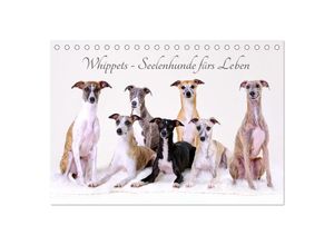 9783383890536 - Whippets - Seelenhunde fürs Leben (Tischkalender 2025 DIN A5 quer) CALVENDO Monatskalender