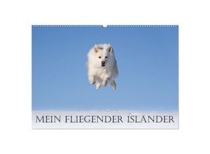 9783383892714 - Mein fliegender Isländer (Wandkalender 2025 DIN A2 quer) CALVENDO Monatskalender