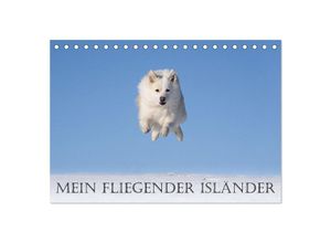 9783383893018 - Mein fliegender Isländer (Tischkalender 2025 DIN A5 quer) CALVENDO Monatskalender