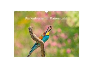 9783383894794 - Bienenfresser im Kaiserstuhl (Wandkalender 2025 DIN A3 quer) CALVENDO Monatskalender