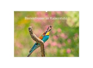 9783383895142 - Bienenfresser im Kaiserstuhl (Wandkalender 2025 DIN A2 quer) CALVENDO Monatskalender