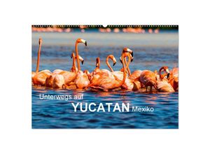 9783383895227 - Unterwegs auf Yucatan Mexiko (Wandkalender 2025 DIN A2 quer) CALVENDO Monatskalender