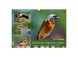 9783383896736 - Heimische Vögel des Jahres (Wandkalender 2025 DIN A3 quer) CALVENDO Monatskalender