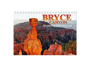 9783383897115 - Bryce Canyon Wunder der Natur (Tischkalender 2025 DIN A5 quer) CALVENDO Monatskalender