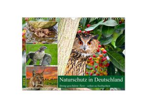 9783383898891 - Naturschutz in Deutschland (Wandkalender 2025 DIN A3 quer) CALVENDO Monatskalender