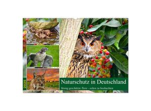 9783383899324 - Naturschutz in Deutschland (Wandkalender 2025 DIN A2 quer) CALVENDO Monatskalender