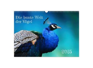 9783383901348 - Die bunte Welt der Vögel (Wandkalender 2025 DIN A3 quer) CALVENDO Monatskalender