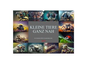 9783383909559 - Kleine Tiere ganz nah (Wandkalender 2025 DIN A2 quer) CALVENDO Monatskalender