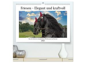 9783383909764 - Friesen - elegant und kraftvoll (hochwertiger Premium Wandkalender 2025 DIN A2 quer) Kunstdruck in Hochglanz