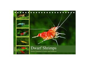 9783383909856 - Dwarf Shrimps (Tischkalender 2025 DIN A5 quer) CALVENDO Monatskalender