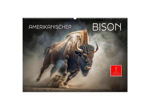 9783383911491 - Amerikanischer Bison (Wandkalender 2025 DIN A2 quer) CALVENDO Monatskalender