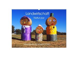 9783383911705 - Landwirtschaft Natur pur Mecklenburg-Vorpommern (Wandkalender 2025 DIN A2 quer) CALVENDO Monatskalender