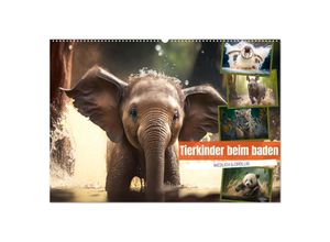 9783383911811 - Tierkinder beim baden (Wandkalender 2025 DIN A2 quer) CALVENDO Monatskalender