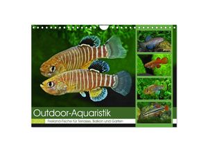 9783383911996 - Outdoor-Aquaristik (Wandkalender 2025 DIN A4 quer) CALVENDO Monatskalender