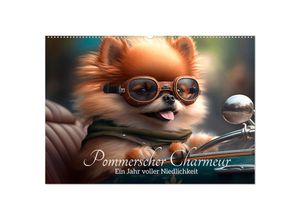 9783383912009 - Pommerscher Charmeur Ein Jahr voller Niedlichkeit (Wandkalender 2025 DIN A2 quer) CALVENDO Monatskalender