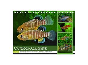 9783383912184 - Outdoor-Aquaristik (Tischkalender 2025 DIN A5 quer) CALVENDO Monatskalender