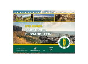 9783383918001 - Erlebnis Forststeig Elbsandstein (Tischkalender 2025 DIN A5 quer) CALVENDO Monatskalender