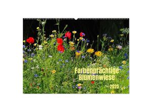 9783383918599 - Farbenprächtige Blumenwiese (Wandkalender 2025 DIN A2 quer) CALVENDO Monatskalender