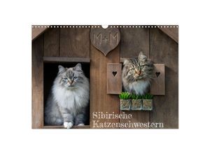 9783383920721 - Maui und Molokai - Sibirische Katzenschwestern (Wandkalender 2025 DIN A3 quer) CALVENDO Monatskalender