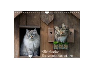 9783383921025 - Maui und Molokai - Sibirische Katzenschwestern (Wandkalender 2025 DIN A4 quer) CALVENDO Monatskalender